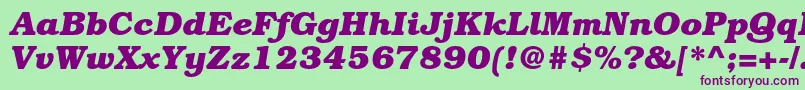 BookmanstdBolditalic Font – Purple Fonts on Green Background