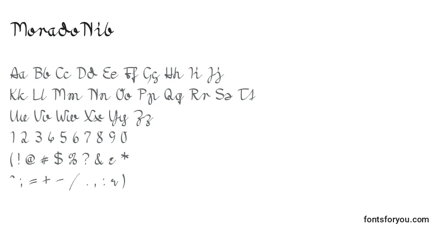 Шрифт MoradoNib – алфавит, цифры, специальные символы
