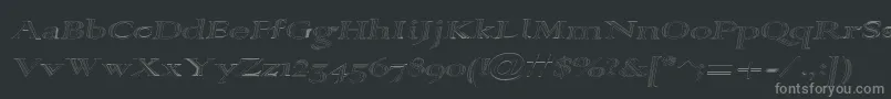 フォントAlpharev ffy – 黒い背景に灰色の文字