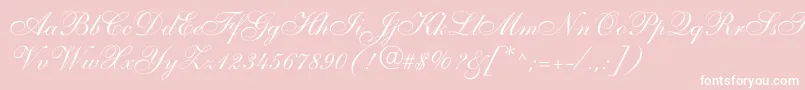 Allegrettoscriptonec-Schriftart – Weiße Schriften auf rosa Hintergrund