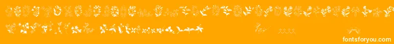 AzalleiaOrnamentsFree-Schriftart – Weiße Schriften auf orangefarbenem Hintergrund