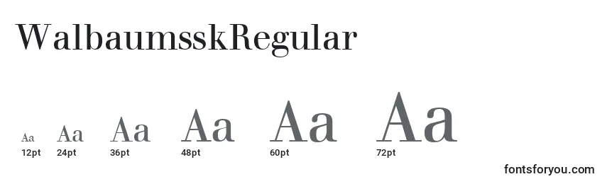 Размеры шрифта WalbaumsskRegular