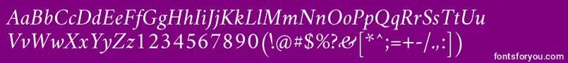 AmiriSlanted Font – White Fonts on Purple Background