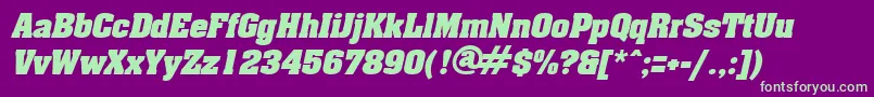 AcklinItalic Font – Green Fonts on Purple Background