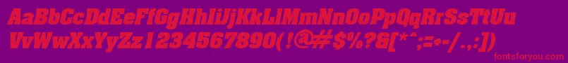 AcklinItalic Font – Red Fonts on Purple Background