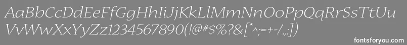 NuevastdLightextendedital Font – White Fonts on Gray Background