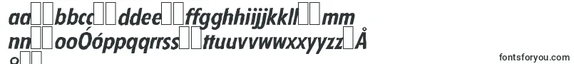 FloridaantiqueBolditalic Font – Polish Fonts