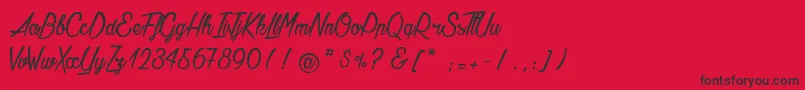 AgathaNeedsFlesh Font – Black Fonts on Red Background