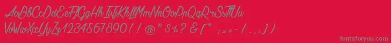 AgathaNeedsFlesh Font – Gray Fonts on Red Background