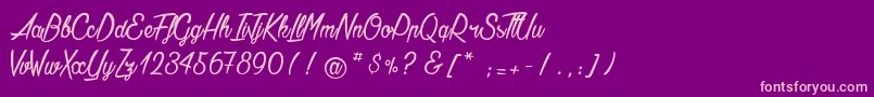 AgathaNeedsFlesh Font – Pink Fonts on Purple Background