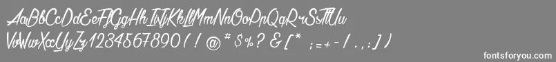 AgathaNeedsFlesh Font – White Fonts on Gray Background