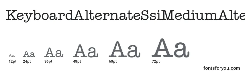 KeyboardAlternateSsiMediumAlternate Font Sizes
