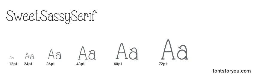 SweetSassySerif Font Sizes