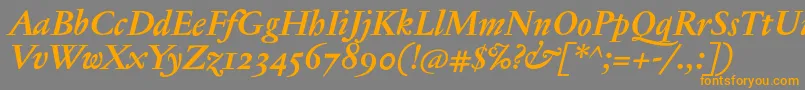 JannontextosfBolditalic Font – Orange Fonts on Gray Background