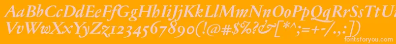 JannontextosfBolditalic Font – Pink Fonts on Orange Background