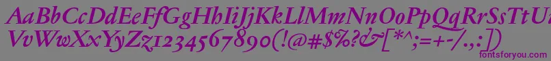 JannontextosfBolditalic Font – Purple Fonts on Gray Background