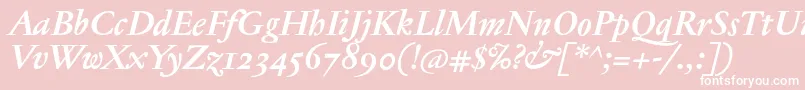 JannontextosfBolditalic Font – White Fonts on Pink Background