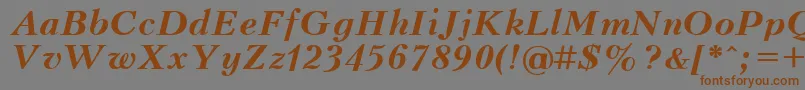 Lisätietoja UkrainianpeterburgBolditalic-fontista UkrainianpeterburgBolditalic-fontti – ruskeat fontit harmaalla taustalla