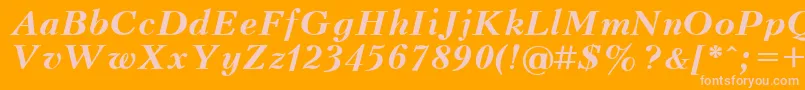 UkrainianpeterburgBolditalic Font – Pink Fonts on Orange Background