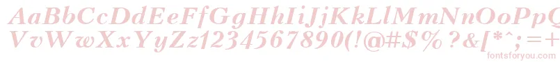 UkrainianpeterburgBolditalic Font – Pink Fonts on White Background