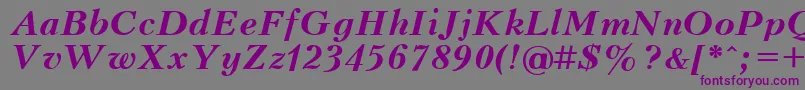 UkrainianpeterburgBolditalic Font – Purple Fonts on Gray Background