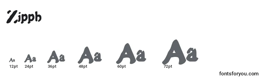 Размеры шрифта Zippb
