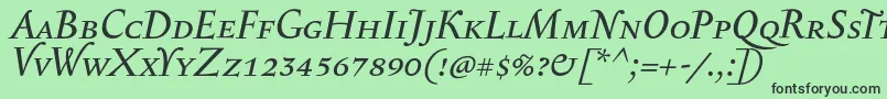 SerapioniiscItalic Font – Black Fonts on Green Background