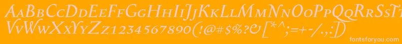 SerapioniiscItalic Font – Pink Fonts on Orange Background