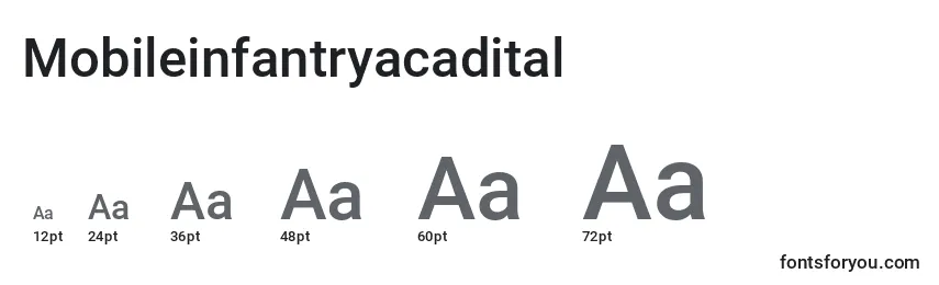 Размеры шрифта Mobileinfantryacadital