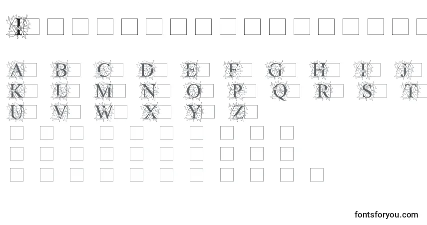A fonte Initialautumntimes – alfabeto, números, caracteres especiais