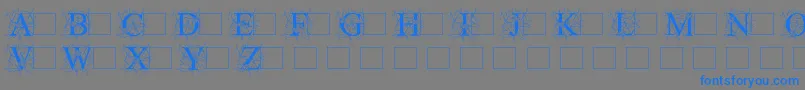 Initialautumntimes Font – Blue Fonts on Gray Background