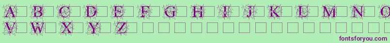 Czcionka Initialautumntimes – fioletowe czcionki na zielonym tle