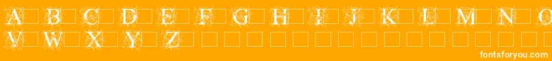 Initialautumntimes Font – White Fonts on Orange Background