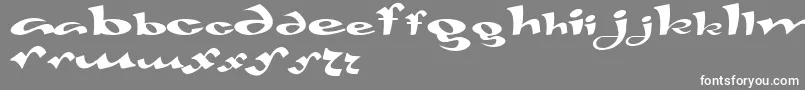 Gaivota Font – White Fonts on Gray Background