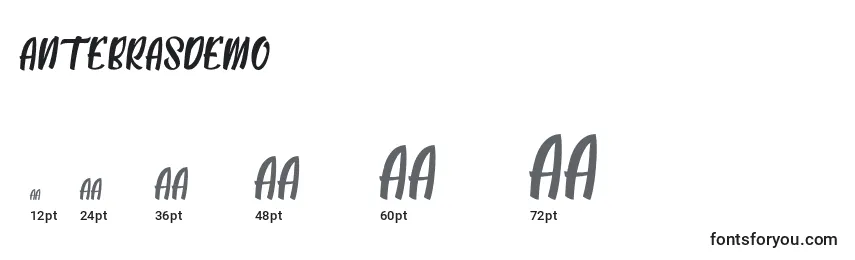 AntebrasDemo Font Sizes