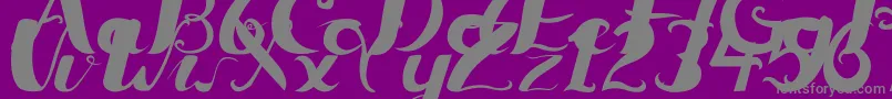 Ceicillia16121Regular Font – Gray Fonts on Purple Background