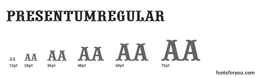 Размеры шрифта PresentumRegular
