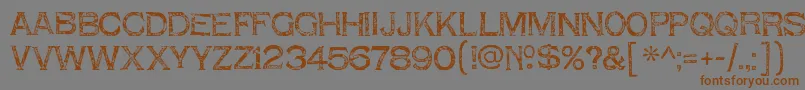 ShnixgunRegular Font – Brown Fonts on Gray Background