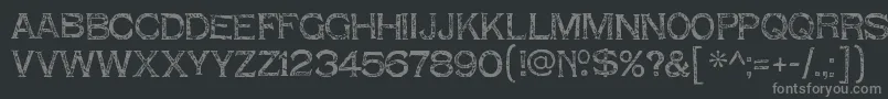 フォントShnixgunRegular – 黒い背景に灰色の文字