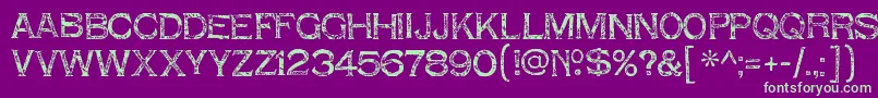 ShnixgunRegular Font – Green Fonts on Purple Background