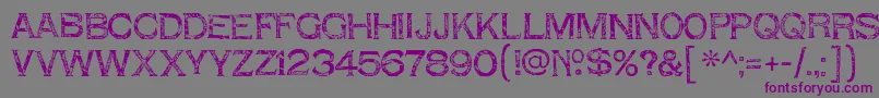 ShnixgunRegular Font – Purple Fonts on Gray Background