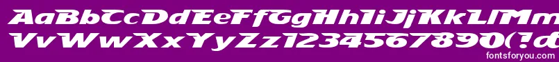 Stingray Font – White Fonts on Purple Background