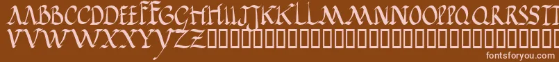 Jgjrr Font – Pink Fonts on Brown Background