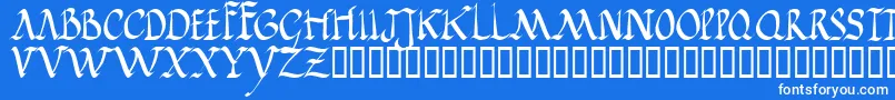 Jgjrr Font – White Fonts on Blue Background