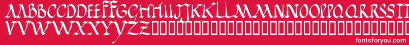 Jgjrr Font – White Fonts on Red Background