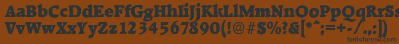 RaleighserialBlackRegular Font – Black Fonts on Brown Background