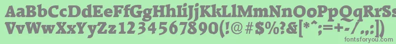 RaleighserialBlackRegular Font – Gray Fonts on Green Background