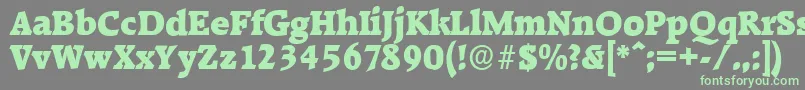 RaleighserialBlackRegular Font – Green Fonts on Gray Background