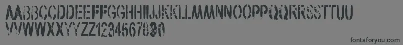 VtksArmy Font – Black Fonts on Gray Background