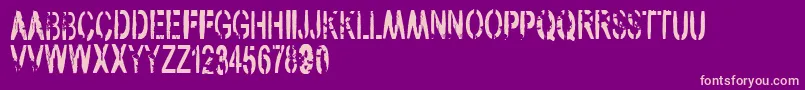 VtksArmy Font – Pink Fonts on Purple Background